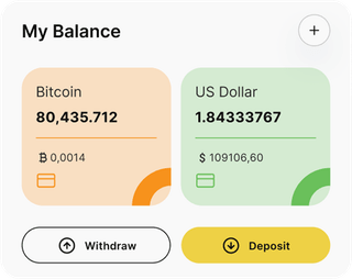 Skybarrow Fundvia automated trading solution — dashboard overview